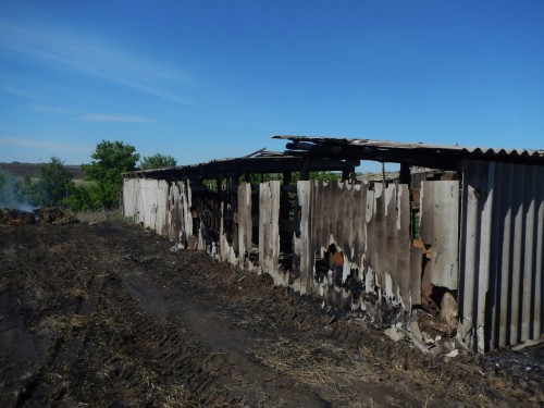 В Ташле полицейские задержали женщину, которая устроила пожар во дворе соседки