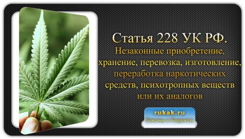 В Октябрьском районе перед судом предстанет обвиняемый в незаконном приобретении и хранении наркотических веществ в крупном размере