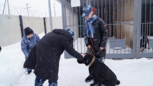 Отдел МВД России по Соль-Илецкому городскому округу распахнул свои двери для «Студенческого десанта»