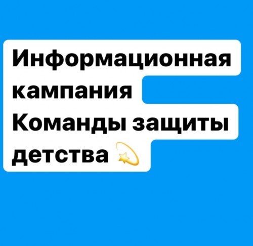 Накануне состоялся сбор районной Детской общественной Правовой Палаты в режиме онлайн