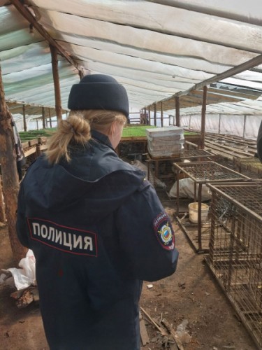 Полицейскими Оренбурга проведено рейдовое мероприятие в селе Краснохолм