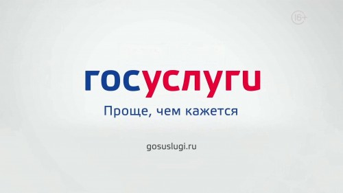 Жительнице Октябрьского района заблокировали доступ на сайт «Госуслуги»