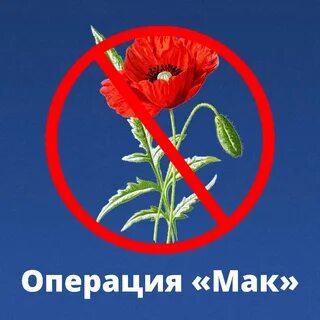 В Александровском районе проходит оперативно-профилактическая операция «Мак-2023»