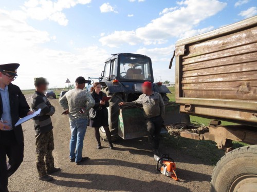 Саракташскими полицейскими возбуждено уголовное дело в отношении местного жителя, занимавшегося незаконной рубкой деревьев